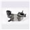 LANCIA Thesis 2.4 09/03-07/09 Catalytic Converter - AR6010T